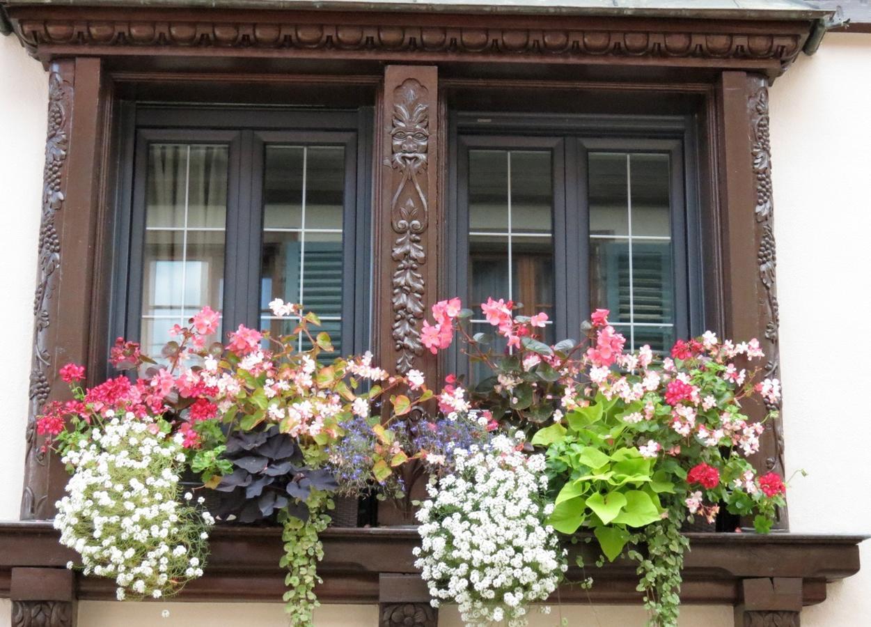 Gite Fleur De Vignes Itterswiller Exterior foto