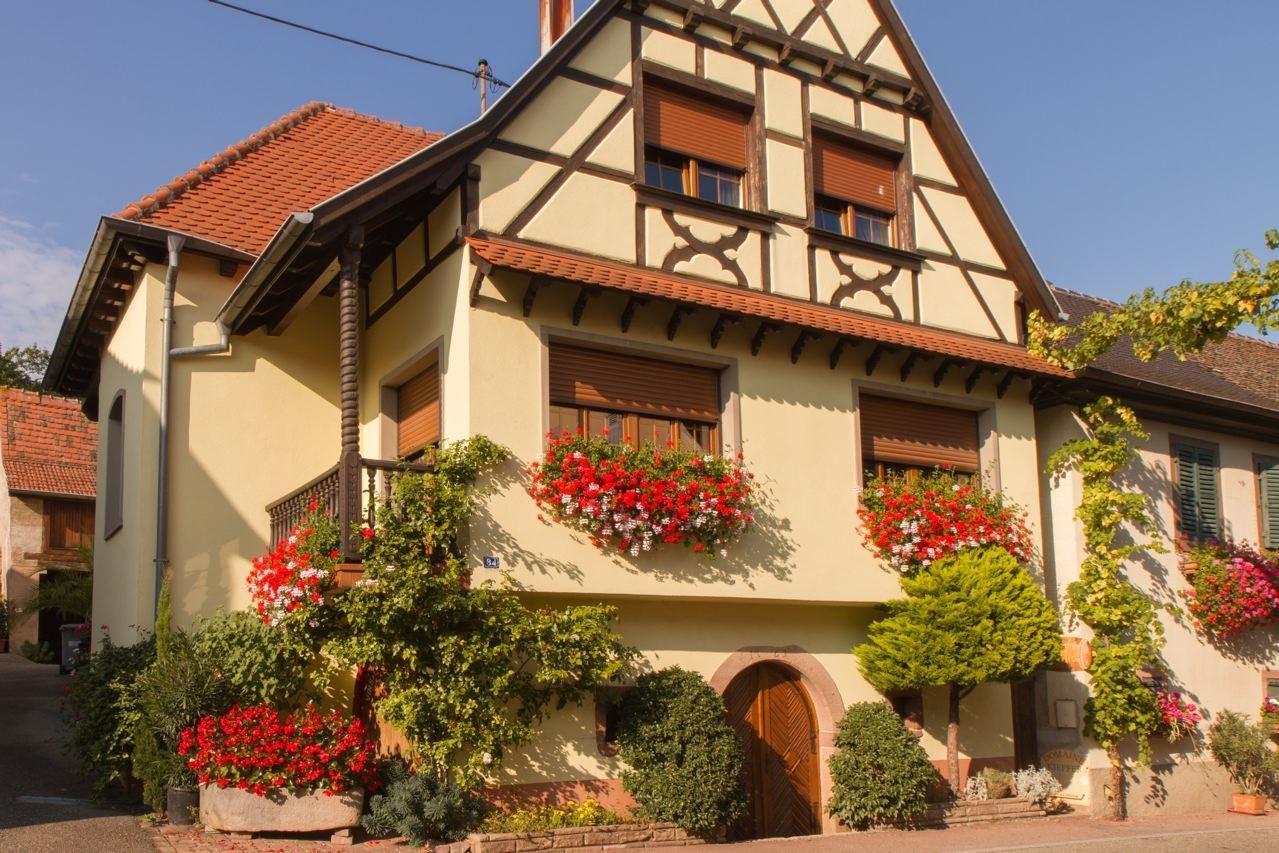 Gite Fleur De Vignes Itterswiller Exterior foto